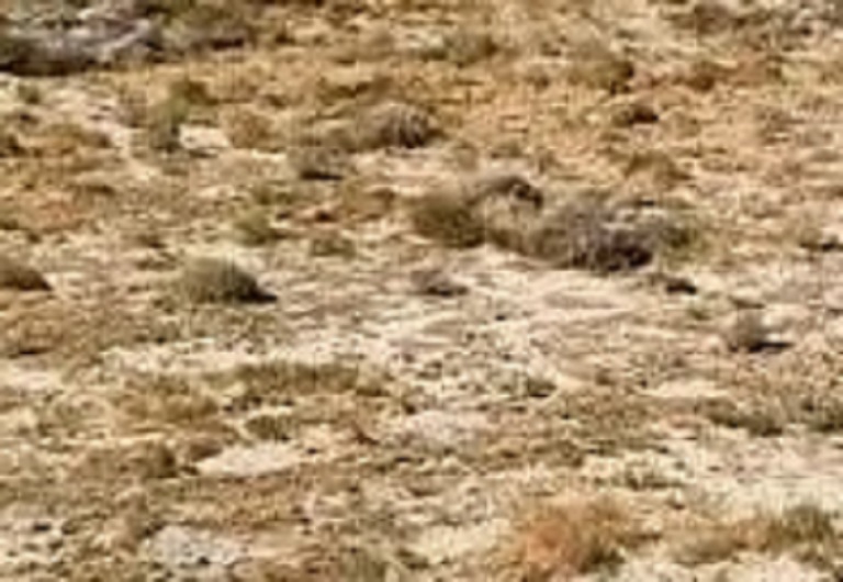 land for sale in palmdale ca by @LAHOUSE4SALE